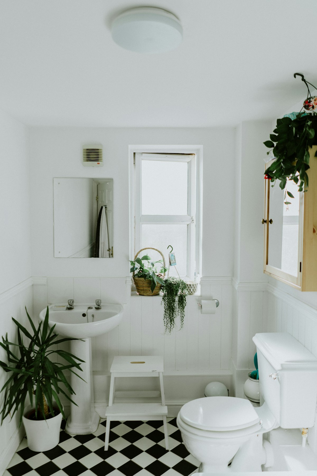 A bright, clean modern bathroom with white fixtures and plants